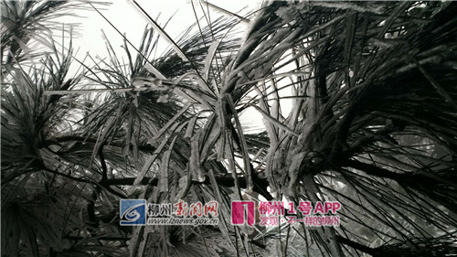 微信图片_20180128170939.jpg 微信图片_20180128170939.jpg