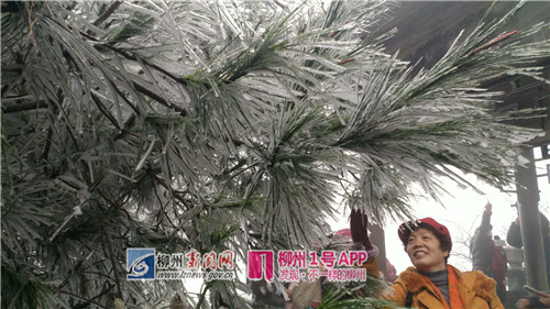 微信图片_20180128171334.jpg