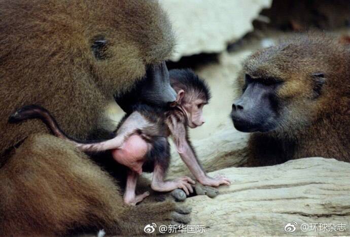 微信图片_20180128200422.jpg 微信图片_20180128200422.jpg