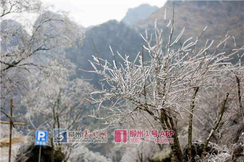 微信图片_20180129091217.jpg