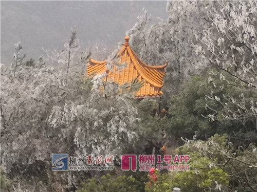 微信图片_20180129102528.jpg 微信图片_20180129102528.jpg