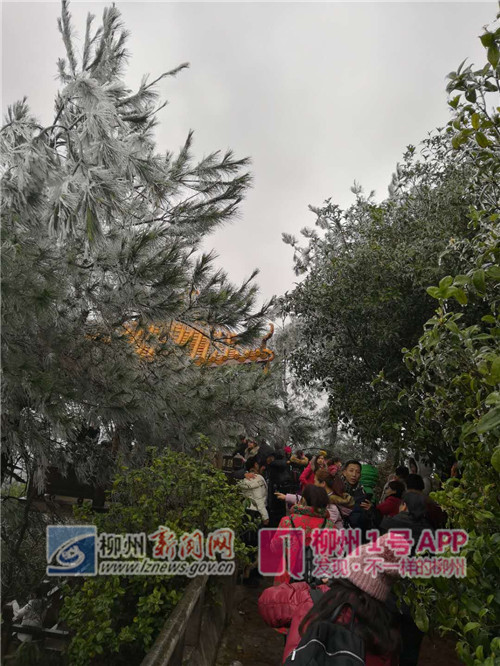微信图片_20180129110502.jpg 微信图片_20180129110502.jpg