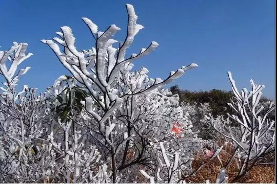 看这些美图！广西冰雪大赛开始了，柳州表现怎么样？
