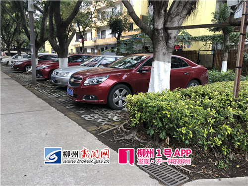 一些小区车位足够,消防通道就不会被占用.jpg 一些小区车位足够,消防通道就不会被占用.jpg