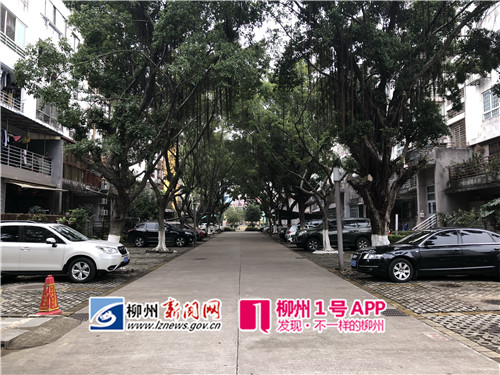 一些小区车位足够,消防通道就不会被占用1.jpg 一些小区车位足够,消防通道就不会被占用1.jpg