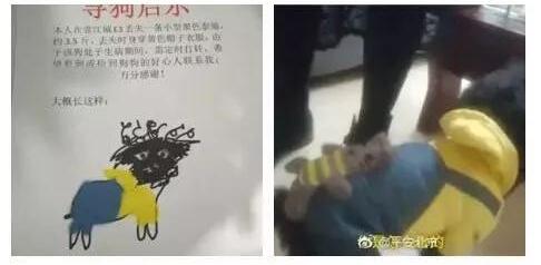 QQ截图20180130212255.jpg QQ截图20180130212255.jpg