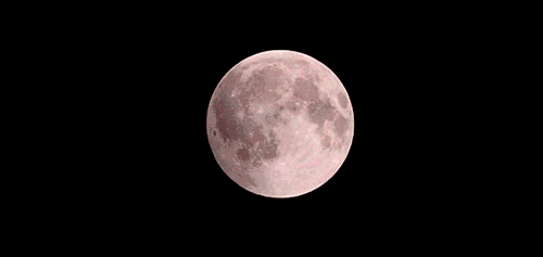6365298554182335195944335.gif 6365298554182335195944335.gif