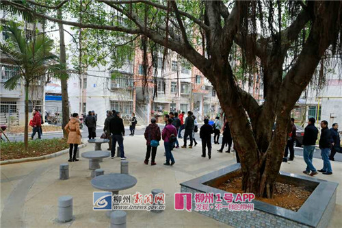 微信图片_20180202151324.jpg 微信图片_20180202151324.jpg