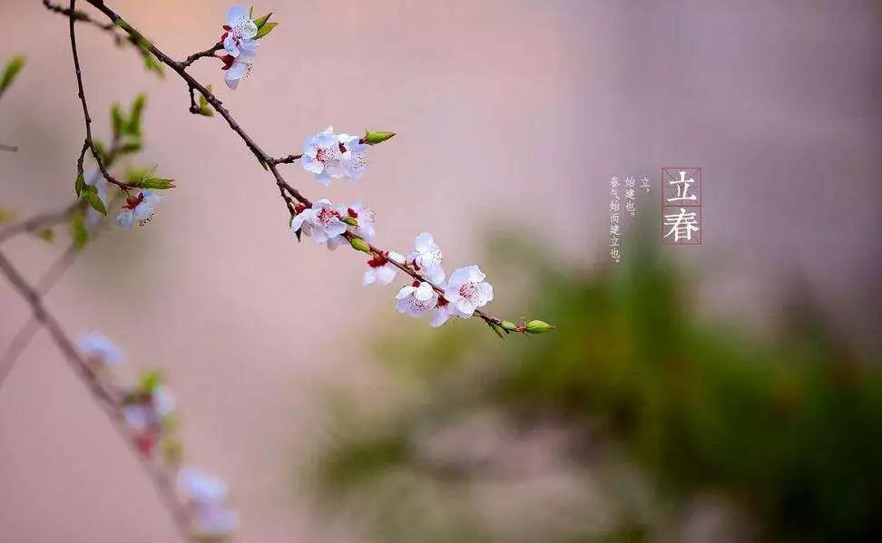 微信图片_20180204091118.jpg 微信图片_20180204091118.jpg
