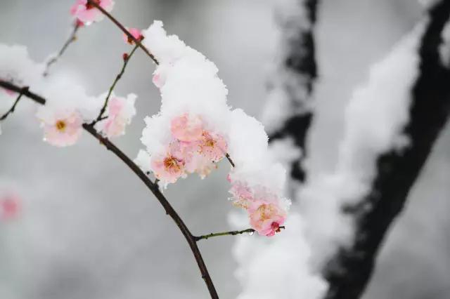 微信图片_20180204091121.jpg 微信图片_20180204091121.jpg