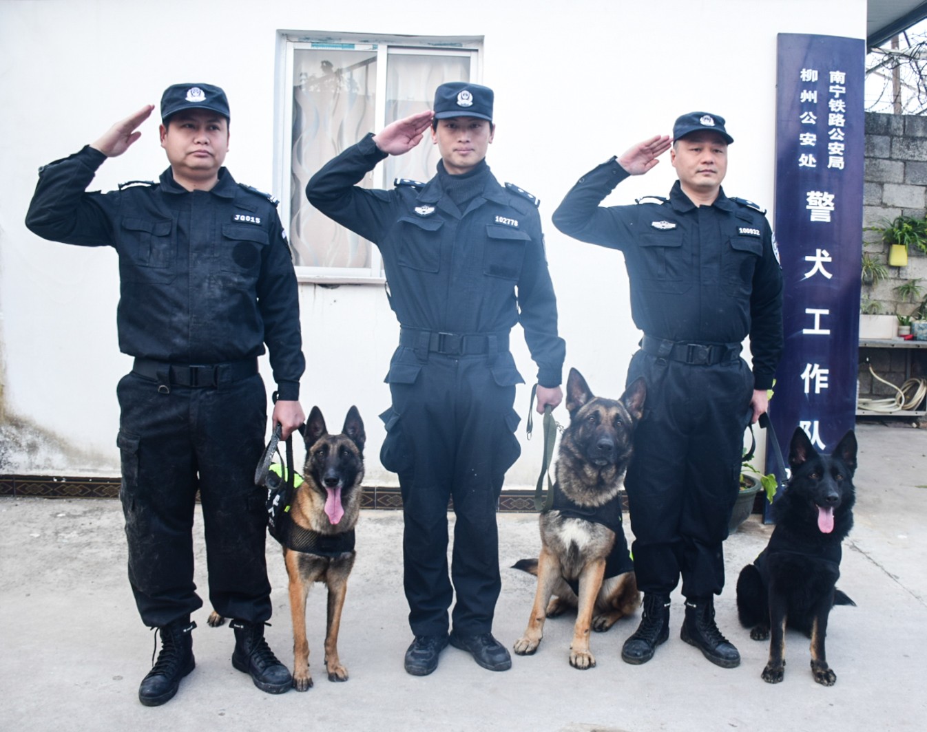 警犬工作队.jpg 警犬工作队.jpg