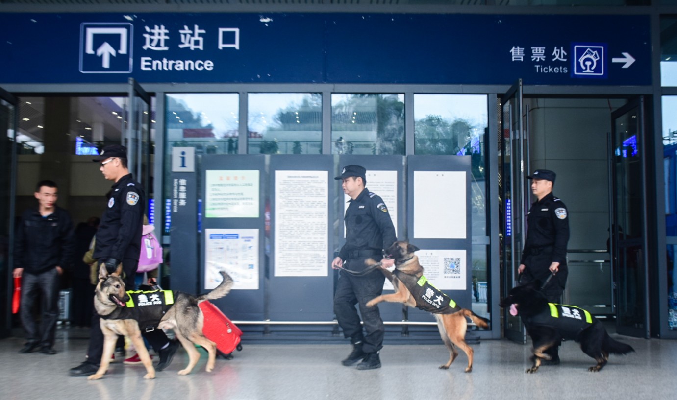 警犬对车站公共广场区域进行巡逻.jpg 警犬对车站公共广场区域进行巡逻.jpg
