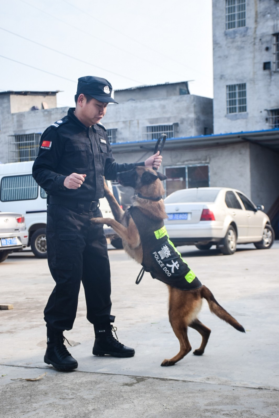 ”弹壳“与它的训导员.jpg ”弹壳“与它的训导员.jpg