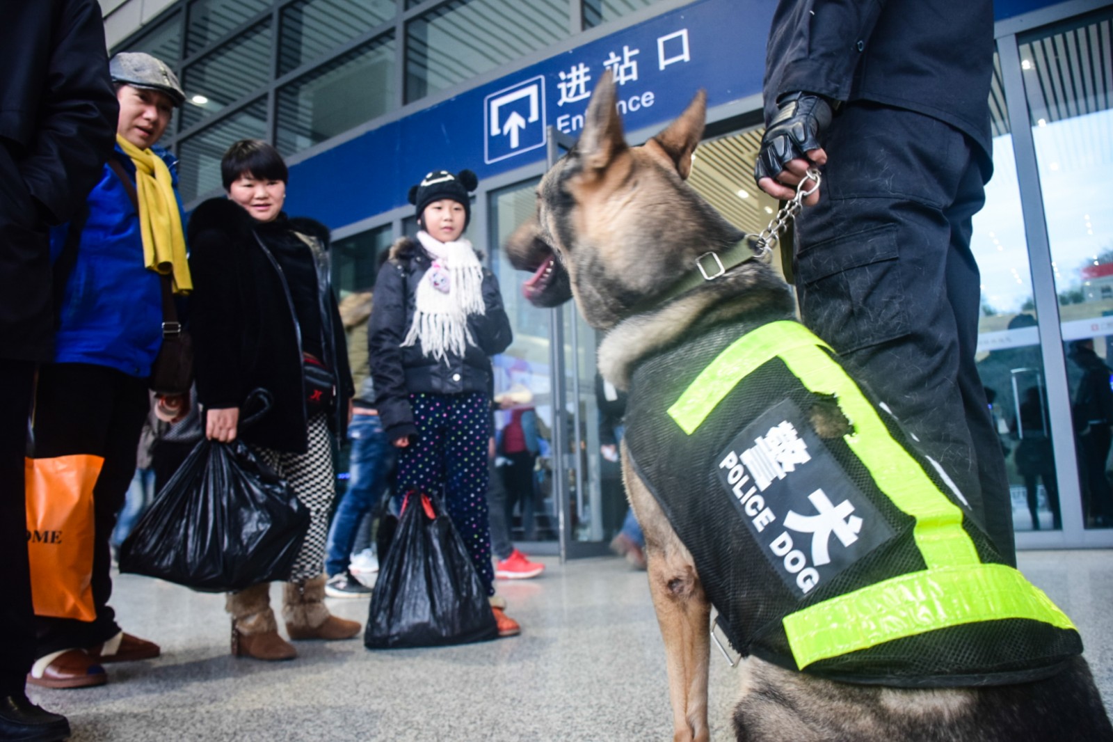 ”追风“被旅客”围观“.jpg ”追风“被旅客”围观“.jpg