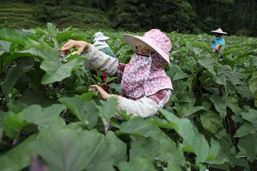 093525tpoayygugpsyo1ao_副本.jpg 093525tpoayygugpsyo1ao_副本.jpg
