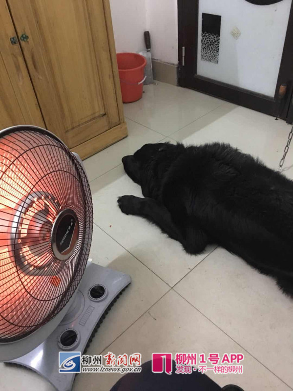 gou2.jpg gou2.jpg