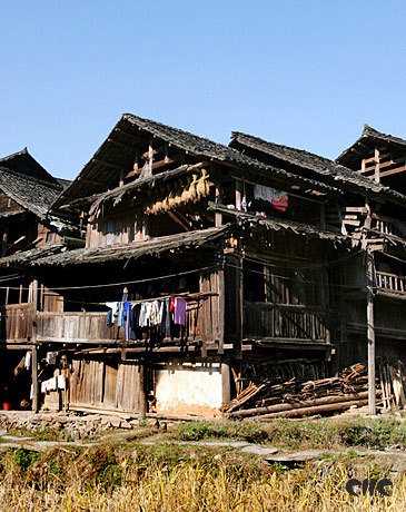 新春走基层|白毛村第一书记莫海浪：深居基层 为群众分忧