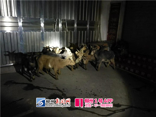 微信图片_20180213154457_副本.jpg 微信图片_20180213154457_副本.jpg