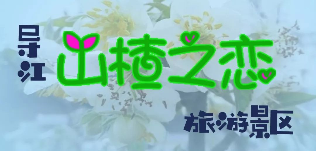 导江“山楂之恋”——不一样的春节出行攻略