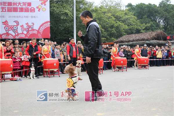 微信图片_20180216123143.jpg