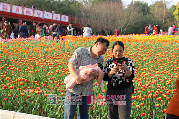 微信图片_20180216192935.jpg