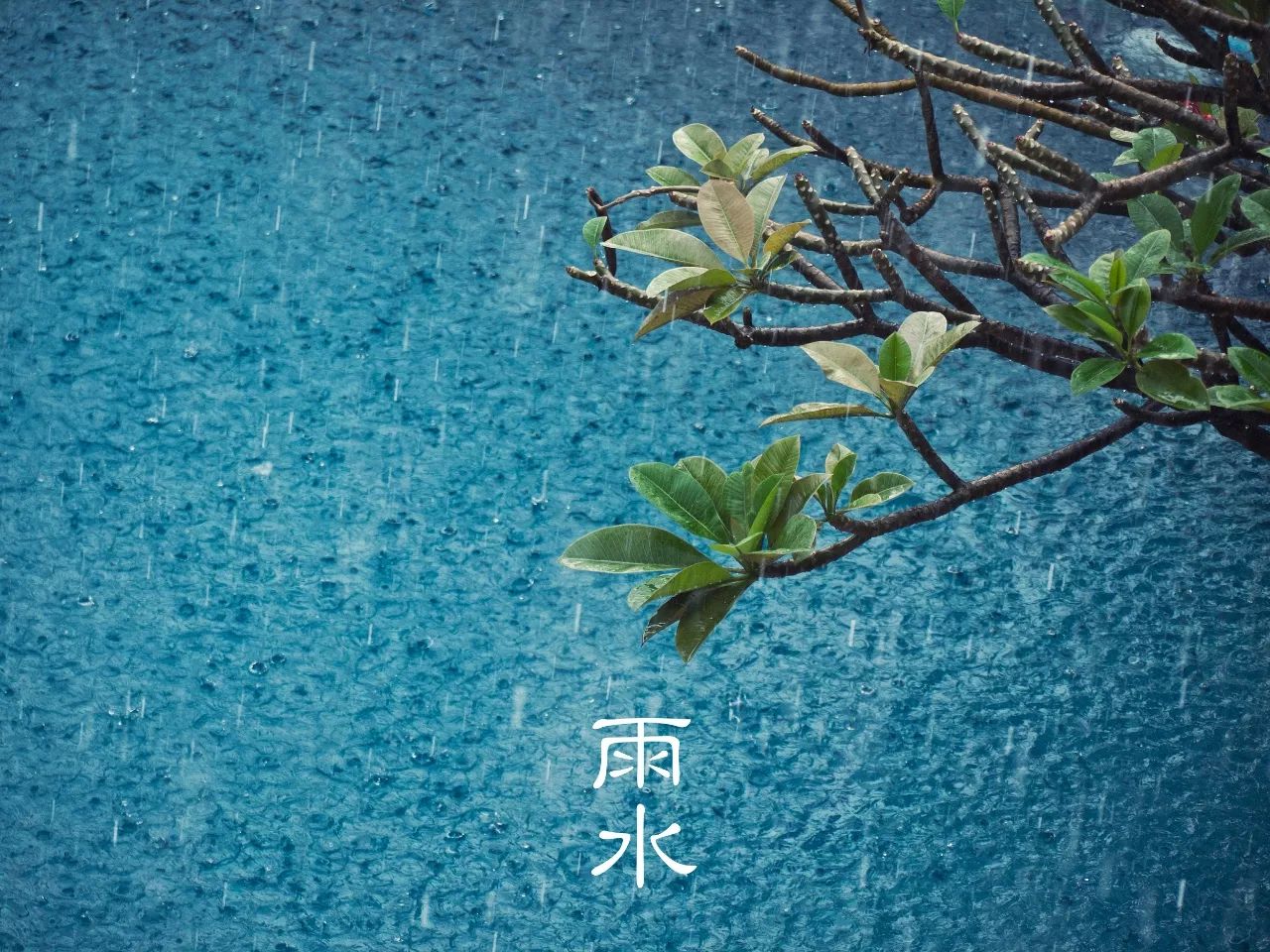 微信图片_20180219092949.jpg