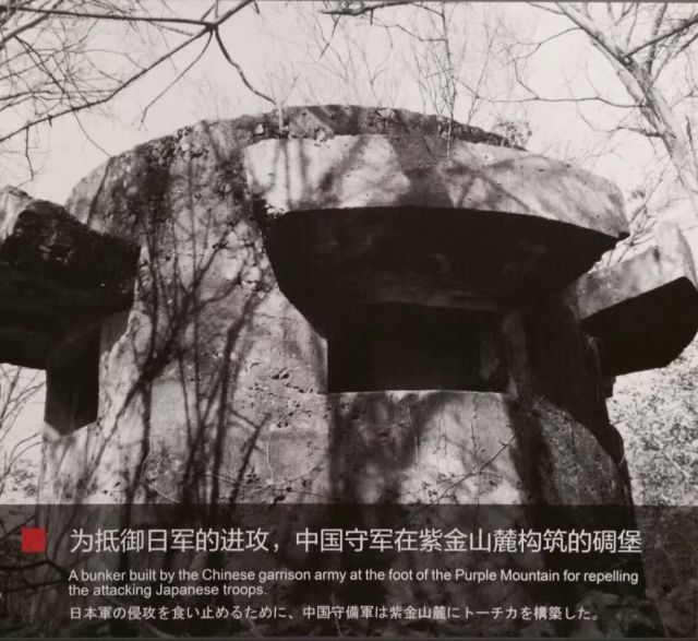 微信图片_20180222144737.jpg