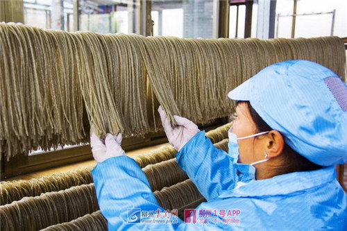合作社生产的红薯粉.jpg 合作社生产的红薯粉.jpg