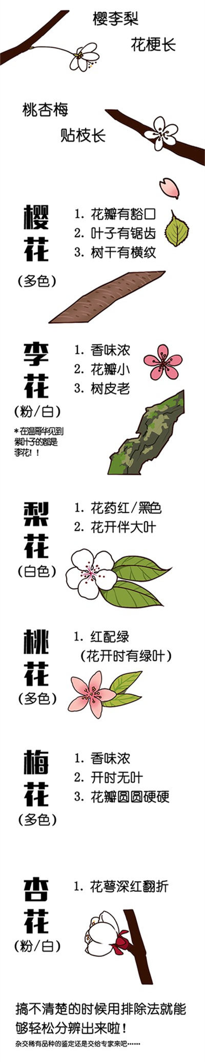百度搜索出来的图片.jpg