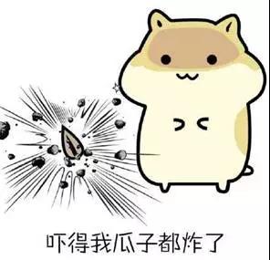 微信图片_20180223194822.jpg
