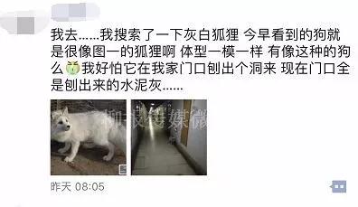 微信图片_20180225152656.jpg 微信图片_20180225152656.jpg