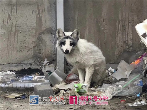 微信图片_20180225153216.jpg