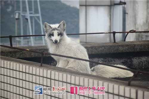 微信图片_20180225153251.jpg