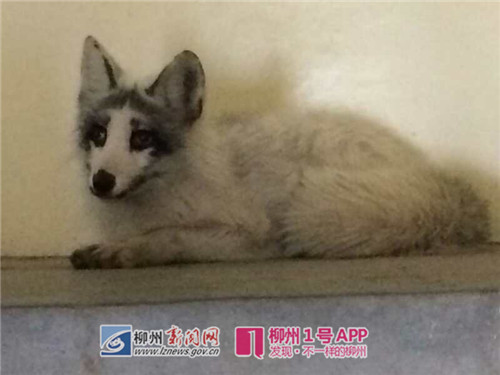 微信图片_20180225153153.jpg 微信图片_20180225153153.jpg