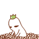 微信图片_20180226142923.gif