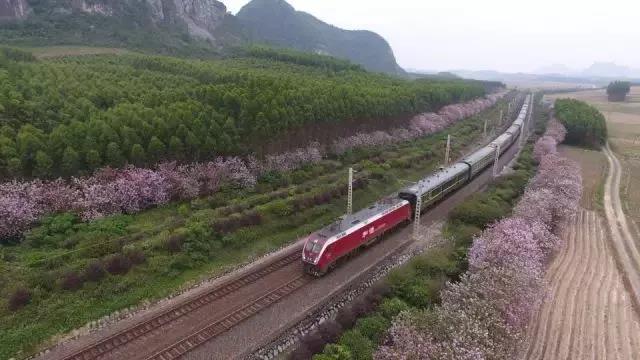 微信图片_20180227150530.jpg 微信图片_20180227150530.jpg