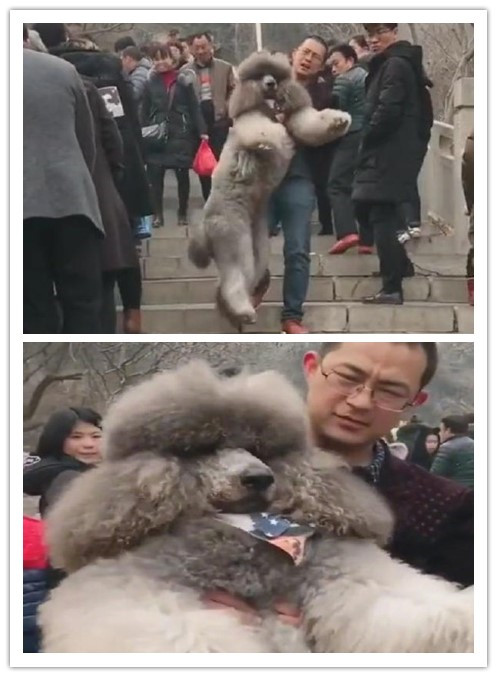 initpintu_副本.jpg initpintu_副本.jpg