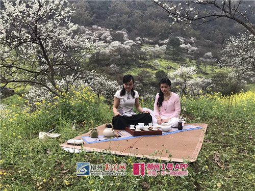 微信图片_20180301115250.jpg 微信图片_20180301115250.jpg