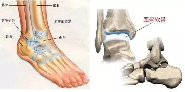 微信图片_20180301161558.jpg 微信图片_20180301161558.jpg