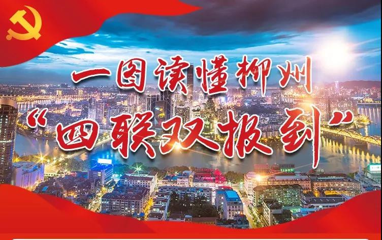 一图读懂|柳州“四联双报到”