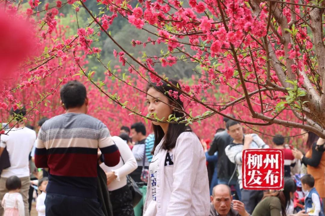 微信图片_20180303125057.jpg