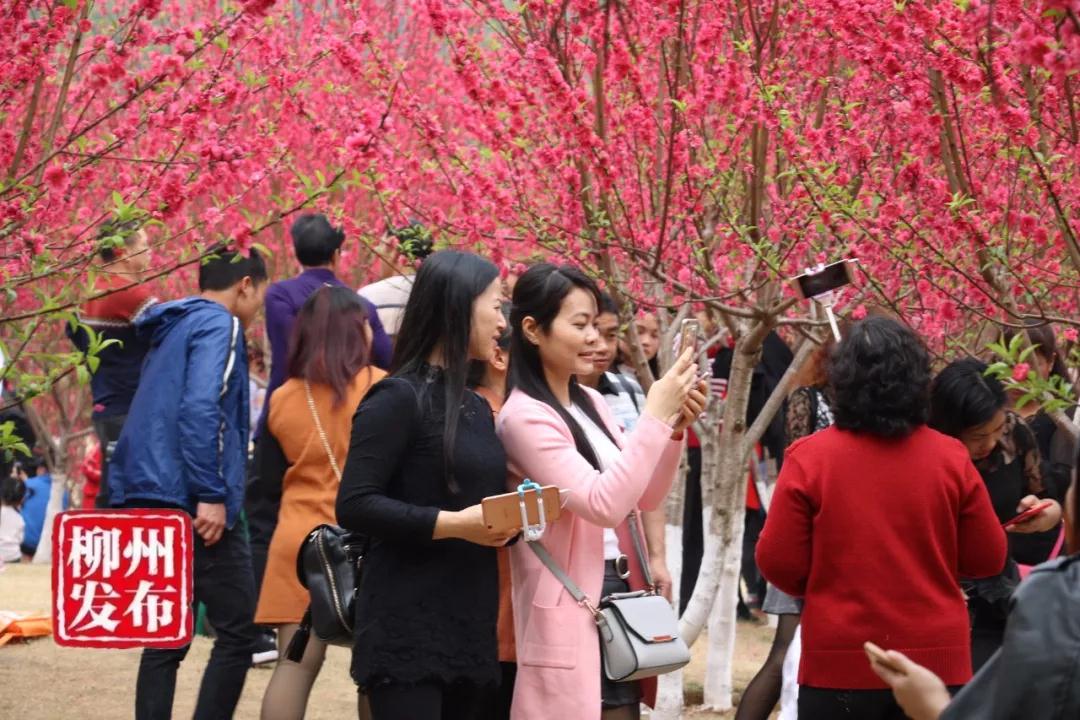 微信图片_20180303125303.jpg