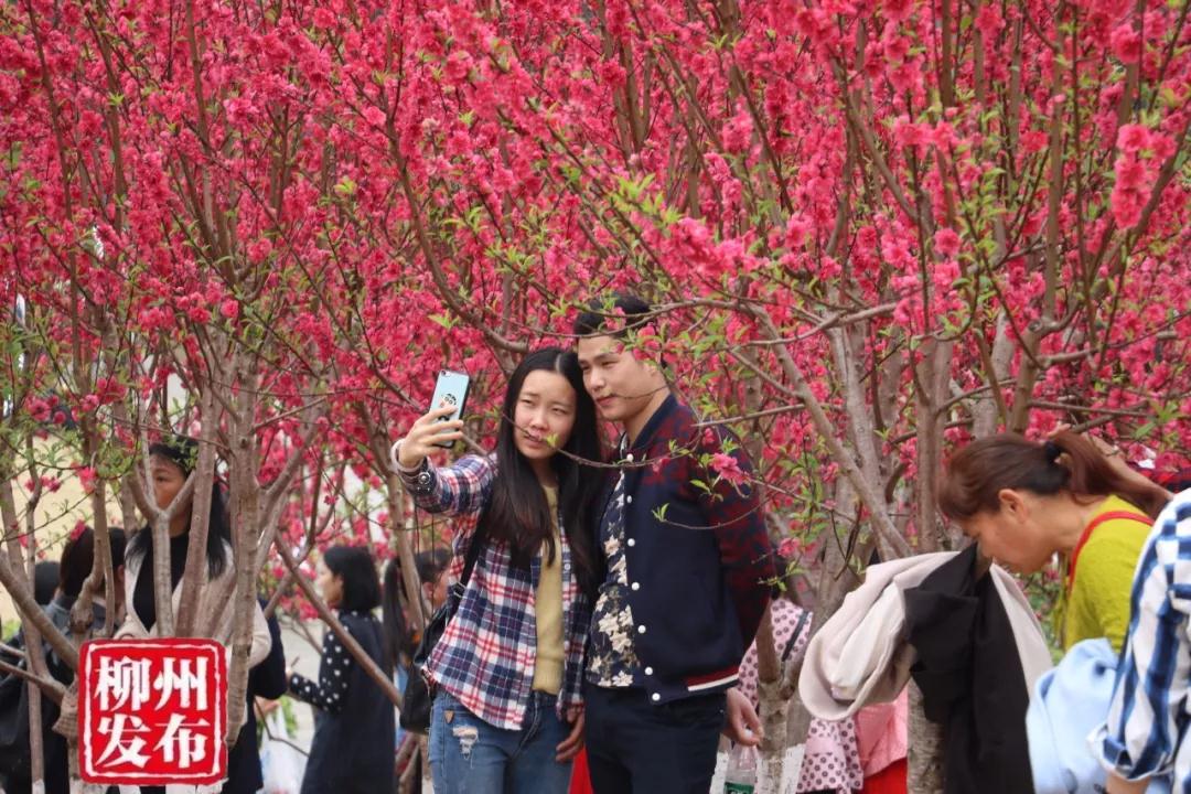 微信图片_20180303125328.jpg