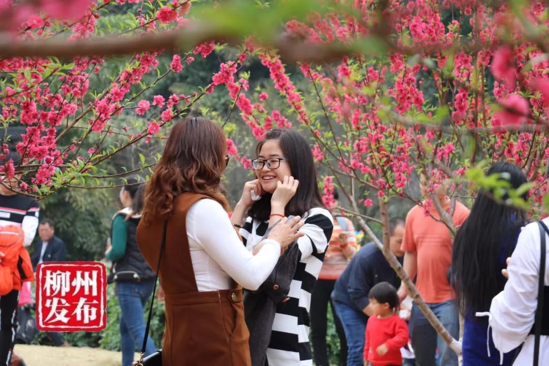 微信图片_20180303125354.jpg