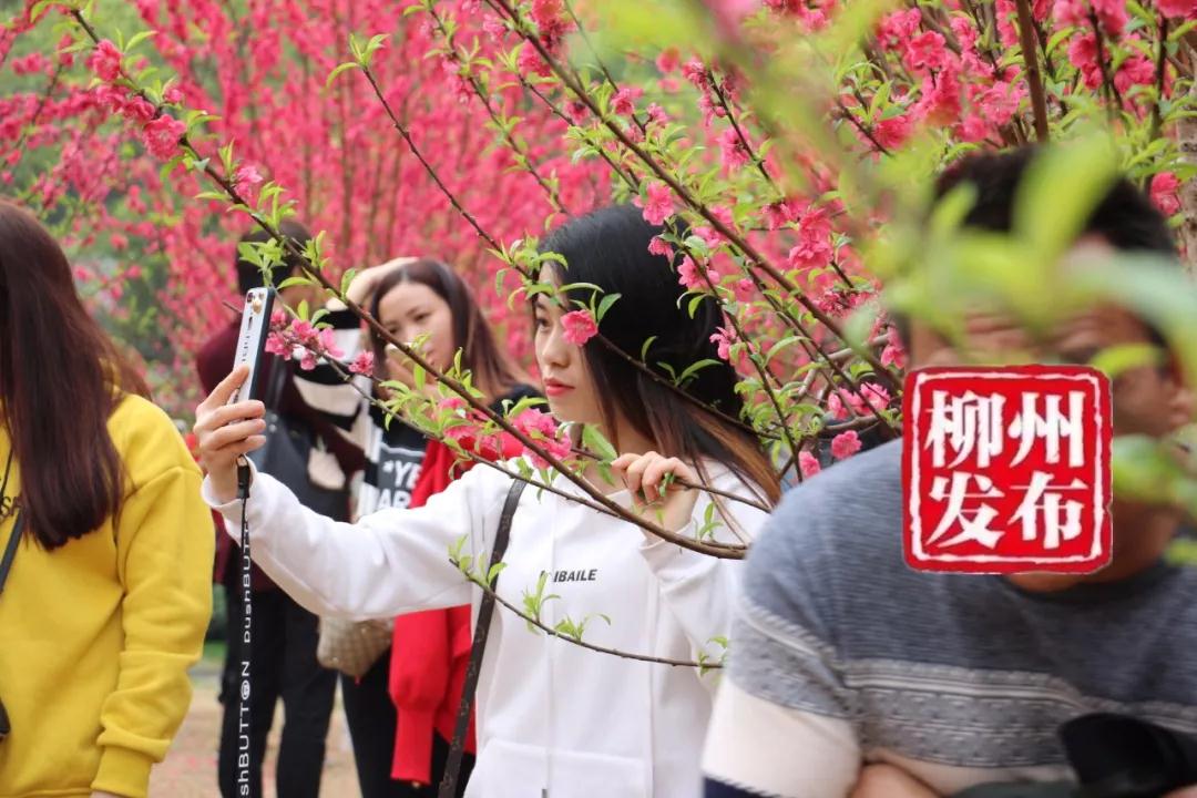 微信图片_20180303125416.jpg