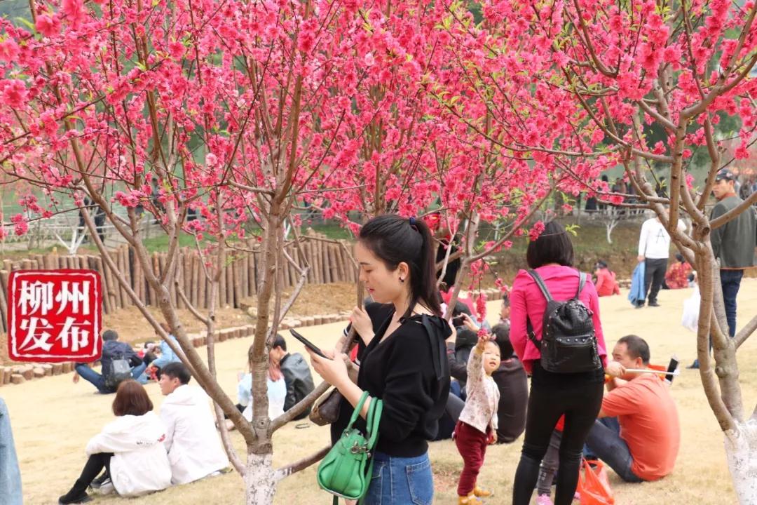 微信图片_20180303125440.jpg