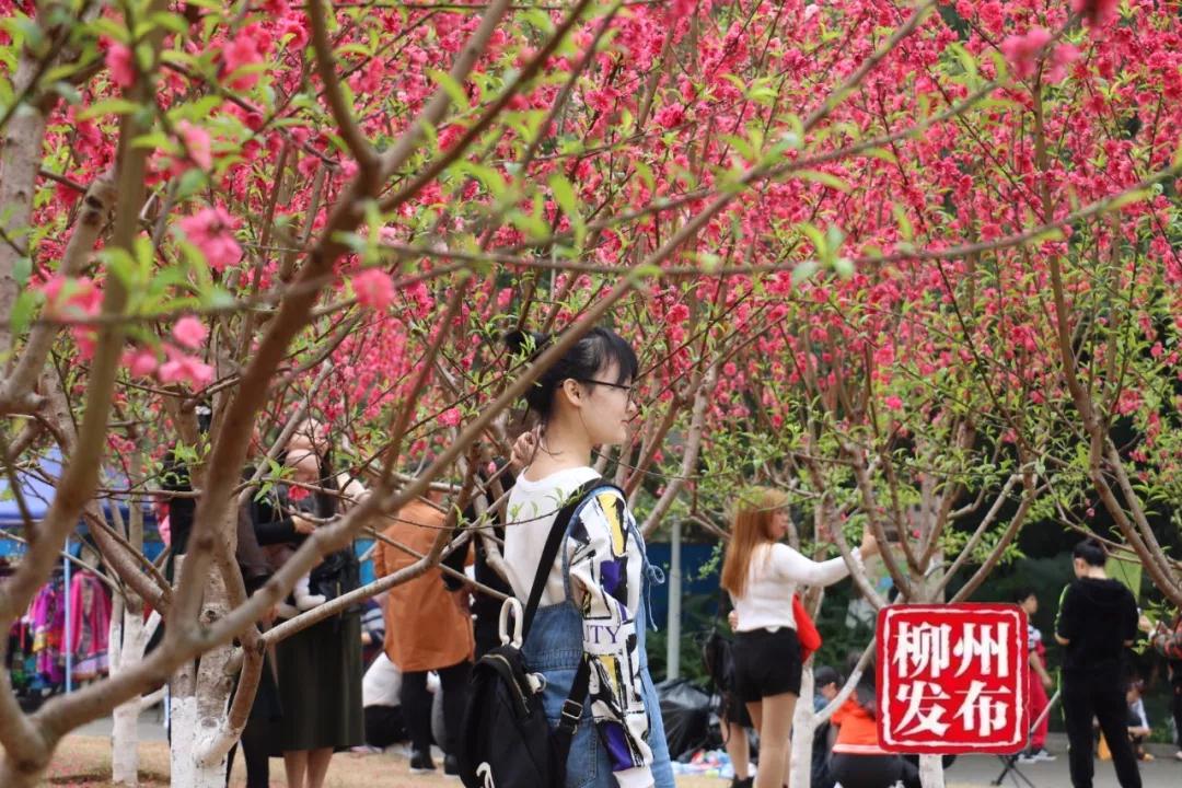 微信图片_20180303125509.jpg