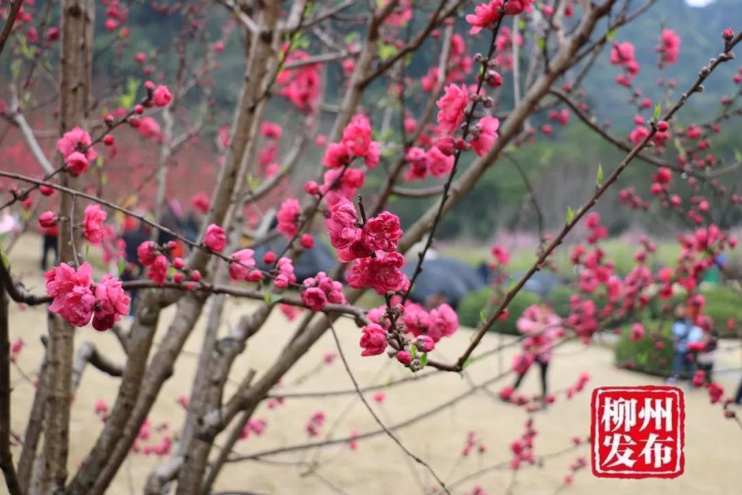 微信图片_20180303125534.jpg