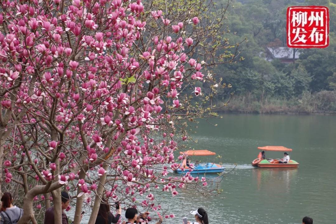微信图片_20180303125557.jpg
