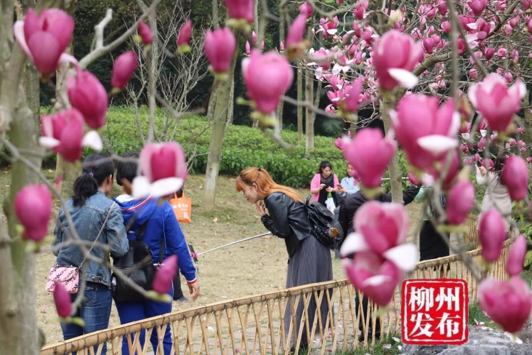 微信图片_20180303125710.jpg